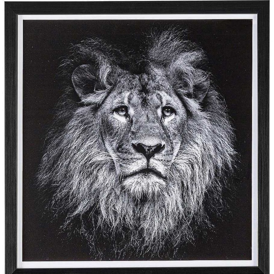 mutoni lifestyle Bild Evidence Lion 42X43 | Glasbilder