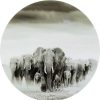 KARE Design Glasbild Elephant Walk Rund 120 | Glasbilder