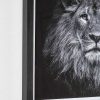 mutoni lifestyle Bild Evidence Lion 42X43 | Glasbilder