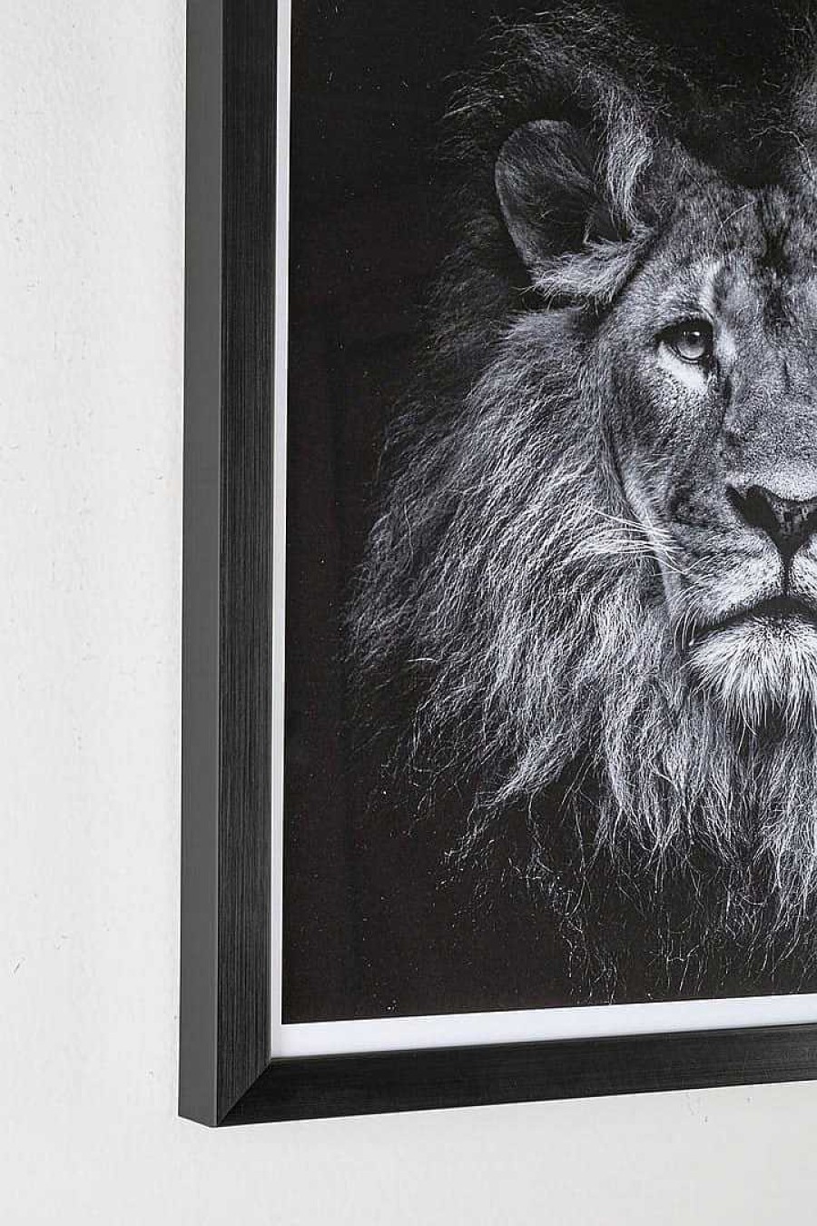 mutoni lifestyle Bild Evidence Lion 42X43 | Glasbilder