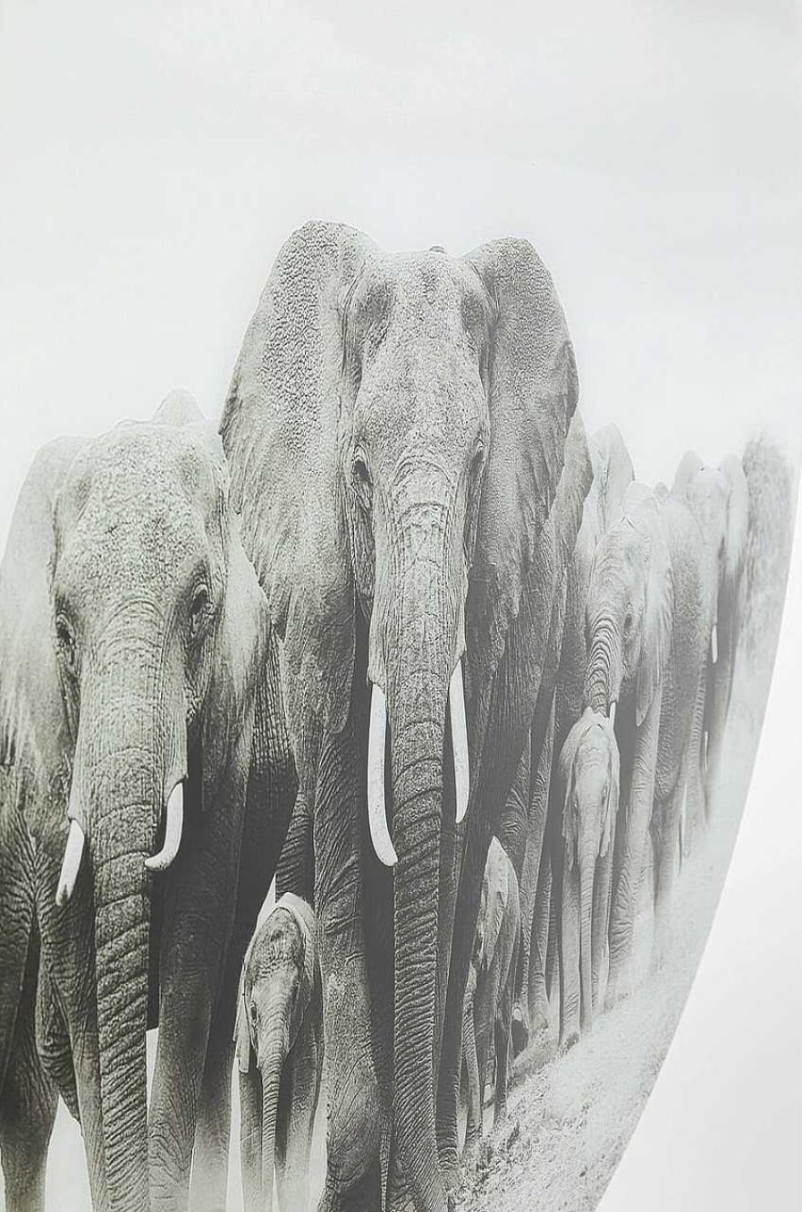 KARE Design Glasbild Elephant Walk Rund 120 | Glasbilder